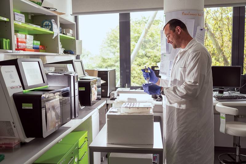 Genetická laboratoř ve Středoevropském technologickém institutu Masarykovy univerzity (CEITEC), kde probíhaly práce na sekvenci genomu Gregora Johanna Mendela
