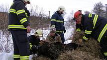 V pondělí 3. ledna 2011 ve Slavicích na Tachovsku spadl jedenáctiletý valach do studny. Přes veškerou snahu hasičů zahynul.