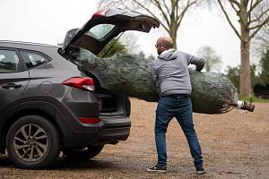 Špatně připevněný vánoční stromek se v autě může proměnit v beranidlo. Může tak nejen napáchat škody, ale také posádku zranit.
