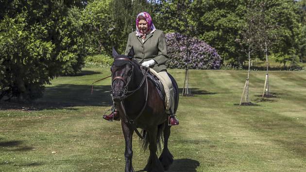 Britská královna Alžběta II. během vyjížďky na koni ve windsorském parku
