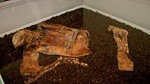 Další slavnou přirozenou mumií vyproštěnou z bažin je tzv. Lindowský muž, pocházející z doby asi 60 let našeho letopočtu, který byl nalezen v roce 1984 v rašeliništi Lindowského močálu v jižně od Manchesteru v Anglii