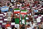 Iran fans in the stands of the Qatar Stadium