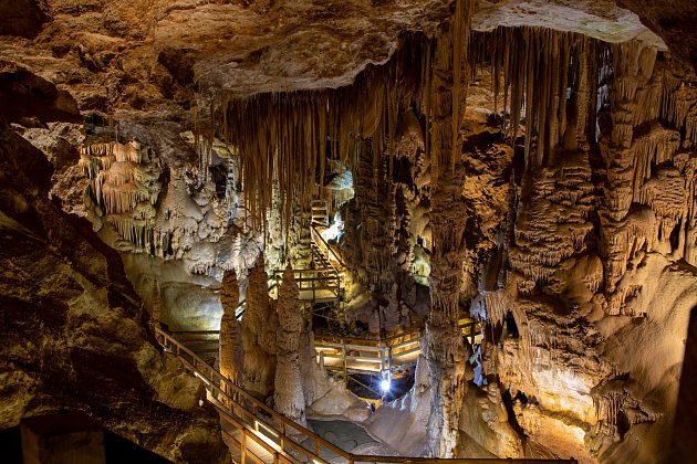 Postojenská jeskyně je jednou z nejúchvatnějších v Evropě, možná i na světě.