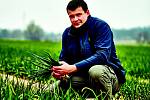 Hlavní agronom Václav Tržický z Předměřic ví o cibulkách takřka všechno a mohl by o nich mluvit neustále.
