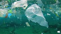 Plastový odpad představuje mořské živočichy hrozbu.