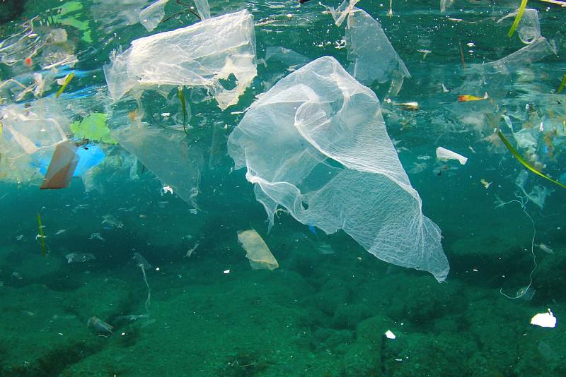 Znečištění přírodního prostředí plastem je jedním ze znaků antropocénu