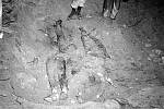 Těla zavražděných občanskoprávních aktivistů Jamese Chaneyho, Andrewa Goodmana a Michaela Schwernera, nalezená 4. srpna 1964. Muži zmizeli 21. června téhož roku