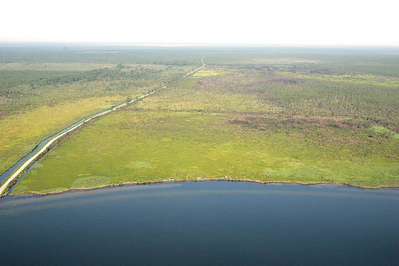 Část národního parku Aligator River National Wildlife Refuge