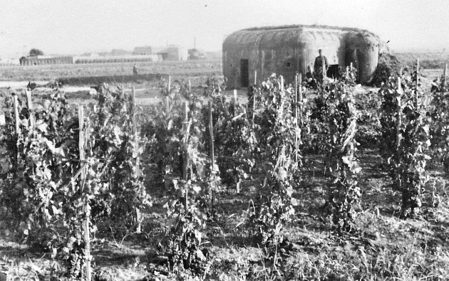 Fotografie z nedalekého Šatova dokládá, že ne všechny vinice v obranném pásmu čs. armády poničila „česká lůza“