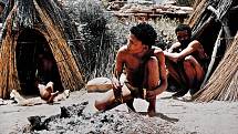 Původní jihoafrická etnika Křováků a Khoi-khoi obsahují společné genetické informace s nejstaršími příslušníky druhu Homo sapiens