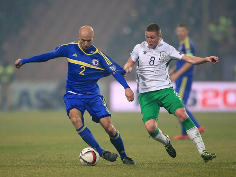 Fotbalisté Bosny a Hercegoviny (v modrém) proti Irsku.