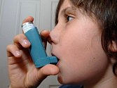 Astmatem trpí ve světě na 300 milionů lidí. Ilustrační foto