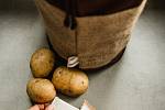 Aby se předešlo klíčení brambor, je potřeba přidat sáček s kmínovou silicí