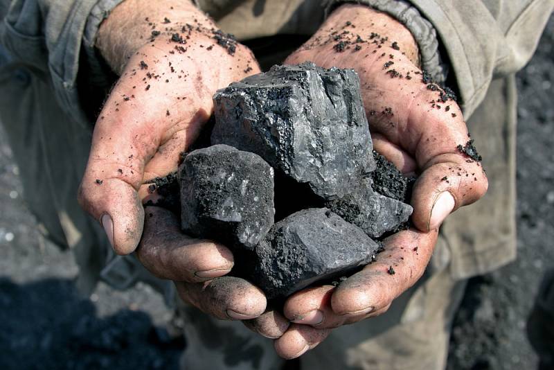 Uhlí zdražilo o 54 procent.