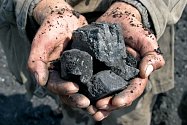 Uhlí. Ilustrační foto