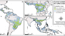 Současné vhodné oblasti pro pěstování kávy Arabica.