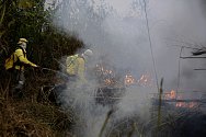 Hasiči bojují s lesním požárem nedaleko města Porto Velho v brazilském státě Rondonia