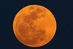 Největší úplněk v roce 2012. Měsíc se krátce před svítáním přiblížil na své oběžné dráze k Zemi, a na obloze se tak jevil asi o sedminu větší a o 30 procent jasnější než obvykle