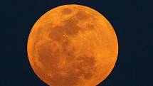 Největší úplněk v roce 2012. Měsíc se krátce před svítáním přiblížil na své oběžné dráze k Zemi, a na obloze se tak jevil asi o sedminu větší a o 30 procent jasnější než obvykle