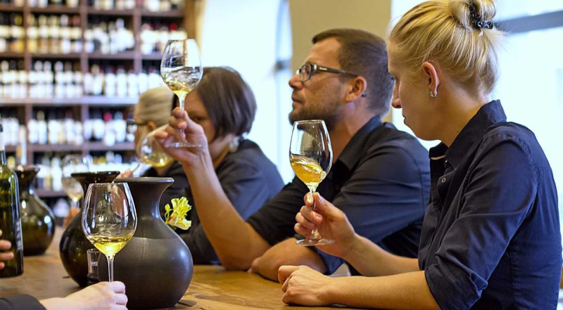 Ochutnávka mladých vín ve Vinografu