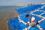 Po dokončení výzkumných prací byla vykopávka z velké části zakryta plastovou fólií, aby byla chráněna před stoupajícími vodami mosulské nádrže.