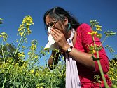 Lidí s alergickou rýmou v ordinacích alergologů trvale přibývá.
