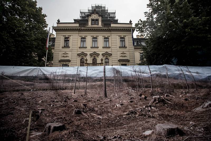 Happnening Jak pomoci českým lesům, který organizovalo Hnutí Duha před Úřadem vlády v Praze, proběhlo 13. června.