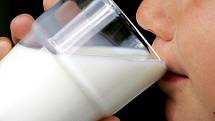 Mléko podražilo o 42 procent.