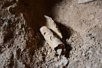 Svitek objevený na nalezišti Kumrán v Izraeli