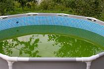 Zelenou vodu v bazénu jedlá soda nevyřeší, s tím pomůže bazénová chemie.