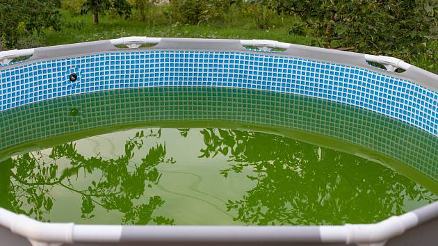 Zelenou vodu v bazénu jedlá soda nevyřeší, s tím pomůže bazénová chemie.