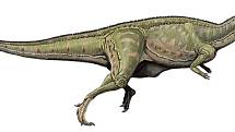 Mezi teropody, tedy tříprsté masožravé dinosaury, patřil i Ceratosaurus_nasicornis.