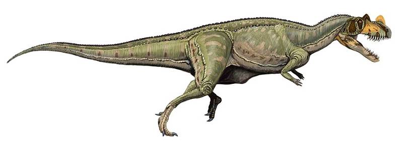 Mezi teropody, tedy tříprsté masožravé dinosaury, patřil i Ceratosaurus_nasicornis.