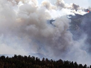 Hasičům v americkém státu Colorado se pozvolna daří dostat pod kontrolu lesní požár, který na severu státu sežehl přes 240 čtverečních kilometrů porostu. 
