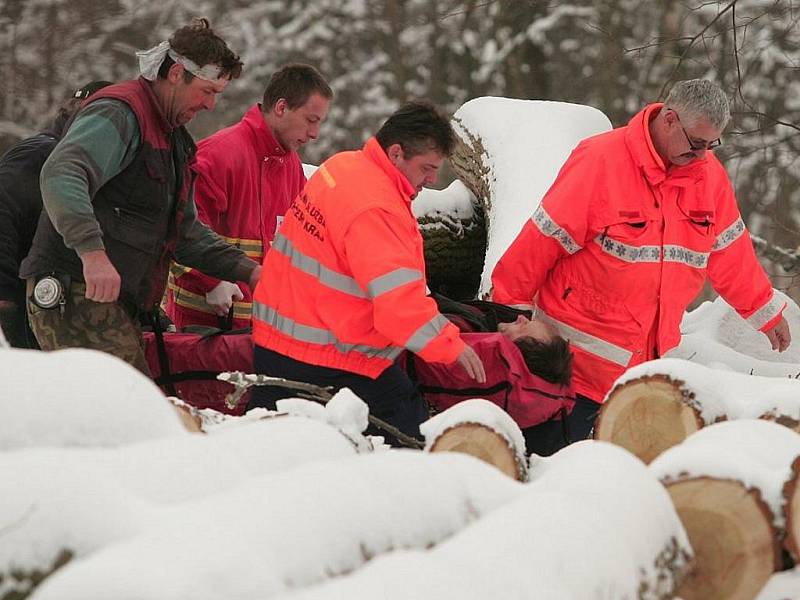 Při kácení stromů v Kolíně - Sendražicích došlo ke zranění dřevorubce. Pro muže se zlomenou nohou museli přijet záchranáři.