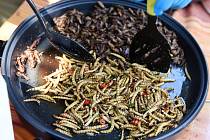 Jedlý hmyz obsahuje spoustu proteinů, není náročný na chov a chutná většinou po oříšcích.