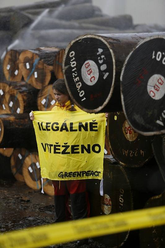 Aktivisté z hnutí Greenpeace 1. července v dýhárně Danzer Bohemia v Horních Počaplech na Mělnicku transparenty upozorňovali na údajně nelegálně vytěžené dřevo z pralesa v Kongu. Po příjezdu policie ekologové firmu, která vyrábí a prodává dýhu, opustili.