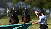 Policie založila roku 1991 jízdní oddíl v Praze, o dva roky později také ve Zlíně a v Brně. Služební koně používají i strážníci městské policie v Ostravě, Pardubicích a v Praze.