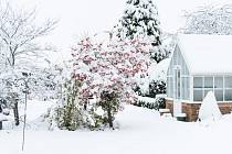 Pravděpodobnost vánočního sněžení pro letošek meteorologové odhadují na dvacet až třicet procent