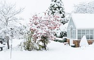 Pravděpodobnost vánočního sněžení pro letošek meteorologové odhadují na dvacet až třicet procent