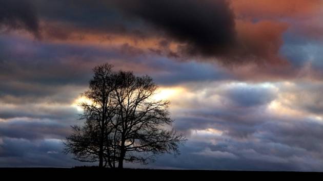 Zatažená obloha, mraky, počasí, strom - ilustrační foto