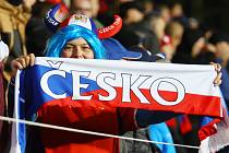 Kvalifikace na fotbalové EURO měla v neděli na pořadu zápas mezi reprezentací ČR a Faerskými ostrovy. Utkání se hrálo v Plzni na stadionu ve Štruncových sadech.