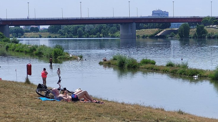 Letní tropy si Vídeňané zpříjemňují u Dunaje.