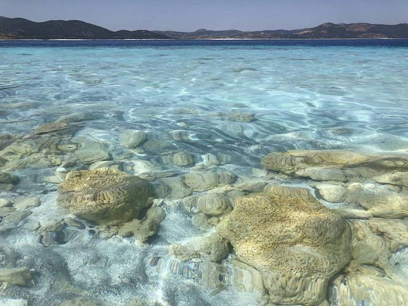 Skály podél břehů jezera Salda v Turecku byly vytvořeny mikroby, zachycujícími minerály a sedimenty ve vodě. Studium těchto pravěkých mikrobiálních fosilií na Zemi pomáhá vědcům projektu Mars 2020 připravit se na svou misi