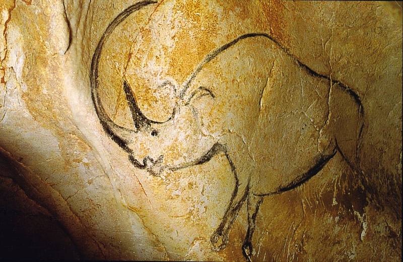 Srstnatí nosorožci na nástěnných malbách v jeskyni Chauvet