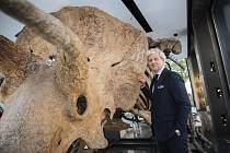 Vedoucí prodeje Alexandre Giquello pózuje u fosílie triceratopse přezdívaného Big John, která se bude v říjnu dražit v pařížské aukční síni