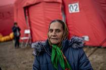 Mezi uprchlíky z Ukrajiny jsou i početné romské rodiny. Některé přicházejí ze zatím poklidného Zakarpatí, na což kriticky poukazuje i hejtman Martin Netolický.
