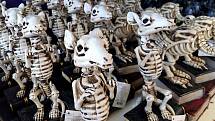 Oblíbenou rekvizitou mexického Dne mrtvých jsou kostlivci. Ale kostry nemusí být nutně lidské.