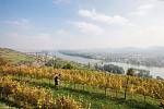 Vinohrad Nikolaihof je nejstarší vinohrad ve Střední Evropě. Od roku 1977 pěstuje víno dle biodynamickcýh principů.