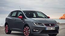 Seat Ibiza.